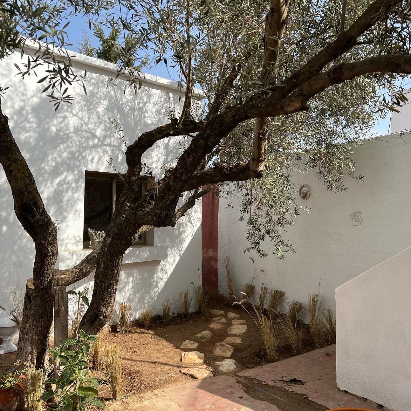 Maison D'Hotes La Ferme Aziza Fès Exteriér fotografie